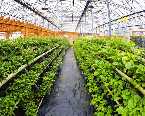 现代化农业种植基地